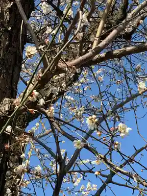 光明寺(栃木県)