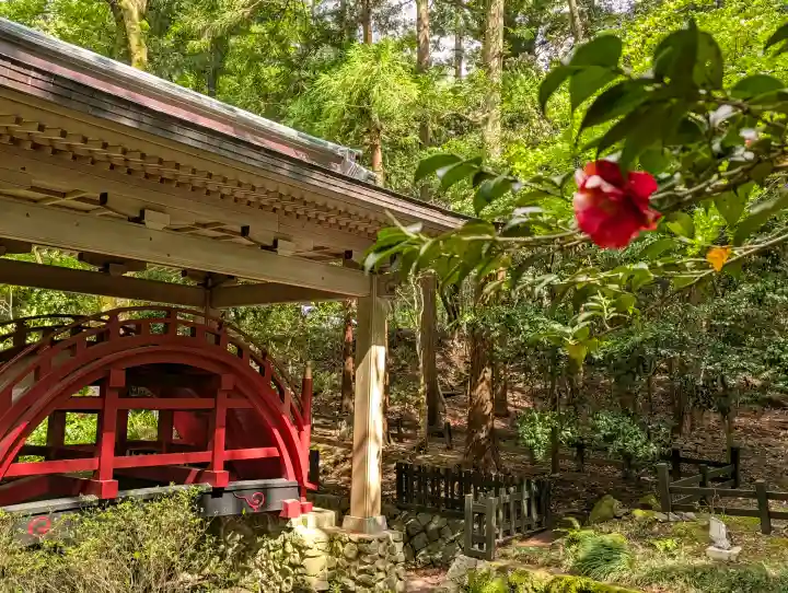 彌彦神社の{uncategorized: "未分類", other: "その他", undefined: "問題あり", building: "その他建物", grave: "お墓", sacred_gate: "鳥居", guardian: "狛犬", statue: "像", buddha: "仏像", history: "歴史", nature: "自然", garden: "庭園", animal: "動物", pagoda: "塔", temizu: "手水舎", mountain_gate: "山門・神門", sanctuary: "本殿・本堂", subordinate: "末社・摂社", art: "芸術", scenery: "景色", jizo: "地蔵", ema: "絵馬", goshuin: "御朱印", omikuji: "おみくじ", items: "授与品その他", amulet: "お守り", goshuincho: "御朱印帳", eats: "食事", festival: "お祭り", votive_dance: "神楽", shichigosan: "七五三参", wedding: "結婚式", experience: "体験その他", initially: "初詣", around: "周辺", anti_infection: "感染症対策"}
