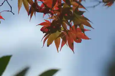 仁和寺(京都府)