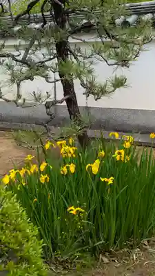 寳塔寺（宝塔寺）(京都府)