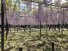 龍城神社の庭園