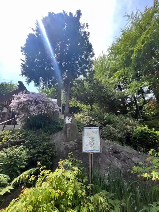 船魂神社の自然
