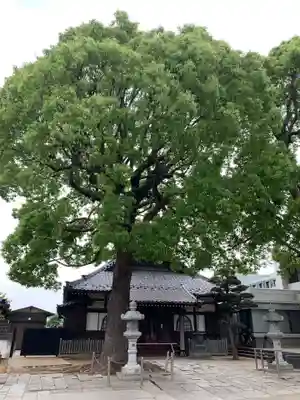 西福寺(千葉県)