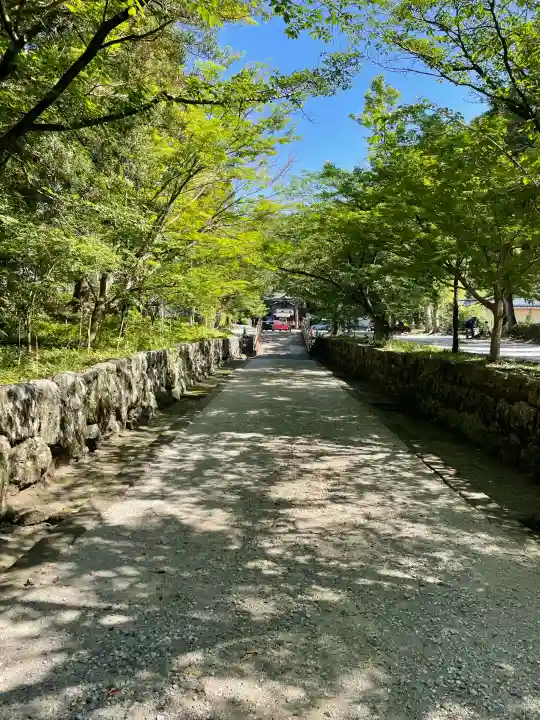土佐神社の{uncategorized: "未分類", other: "その他", undefined: "問題あり", building: "その他建物", grave: "お墓", sacred_gate: "鳥居", guardian: "狛犬", statue: "像", buddha: "仏像", history: "歴史", nature: "自然", garden: "庭園", animal: "動物", pagoda: "塔", temizu: "手水舎", mountain_gate: "山門・神門", sanctuary: "本殿・本堂", subordinate: "末社・摂社", art: "芸術", scenery: "景色", jizo: "地蔵", ema: "絵馬", goshuin: "御朱印", omikuji: "おみくじ", items: "授与品その他", amulet: "お守り", goshuincho: "御朱印帳", eats: "食事", festival: "お祭り", votive_dance: "神楽", shichigosan: "七五三参", wedding: "結婚式", experience: "体験その他", initially: "初詣", around: "周辺", anti_infection: "感染症対策"}