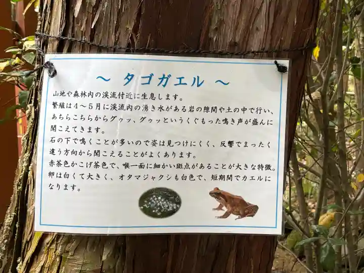 大田神社(賀茂別雷神社境外摂社)の{uncategorized: "未分類", other: "その他", undefined: "問題あり", building: "その他建物", grave: "お墓", sacred_gate: "鳥居", guardian: "狛犬", statue: "像", buddha: "仏像", history: "歴史", nature: "自然", garden: "庭園", animal: "動物", pagoda: "塔", temizu: "手水舎", mountain_gate: "山門・神門", sanctuary: "本殿・本堂", subordinate: "末社・摂社", art: "芸術", scenery: "景色", jizo: "地蔵", ema: "絵馬", goshuin: "御朱印", omikuji: "おみくじ", items: "授与品その他", amulet: "お守り", goshuincho: "御朱印帳", eats: "食事", festival: "お祭り", votive_dance: "神楽", shichigosan: "七五三参", wedding: "結婚式", experience: "体験その他", initially: "初詣", around: "周辺", anti_infection: "感染症対策"}