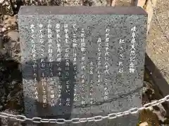 手力雄神社の歴史