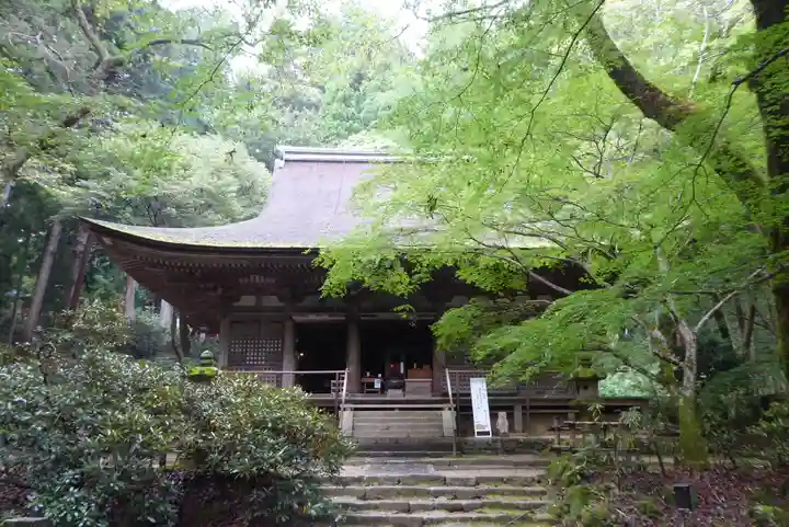 室生寺の本殿・本堂