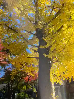 蟬丸神社（蝉丸神社）(滋賀県)