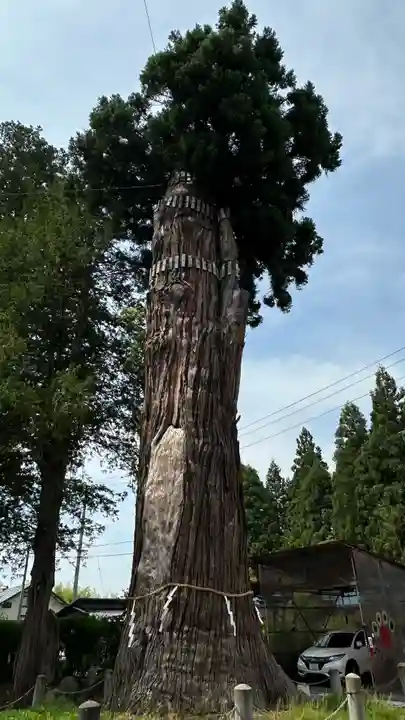 豊龍神社(山形県)