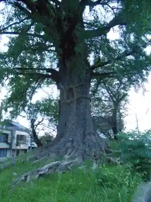 津島神社 御旅所跡(愛知県)