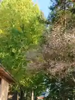 下野 星宮神社のその他建物