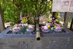 四倉諏訪神社の手水