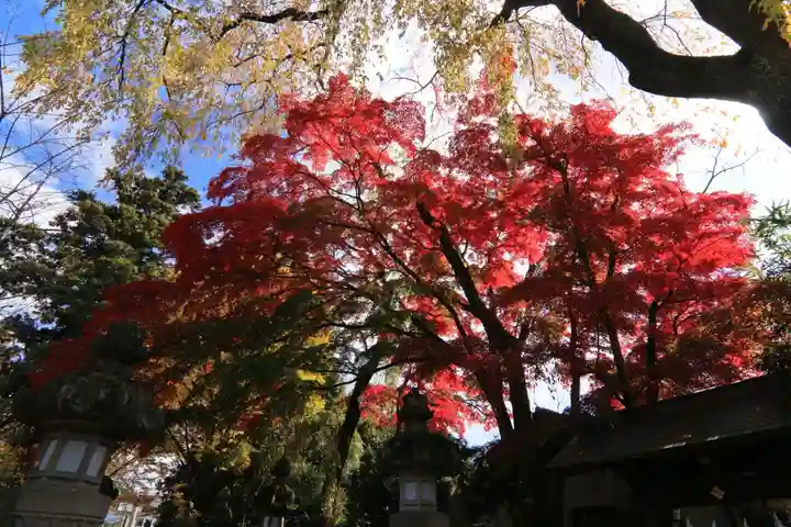 神炊館神社 ⁂奥州須賀川総鎮守⁂の庭園