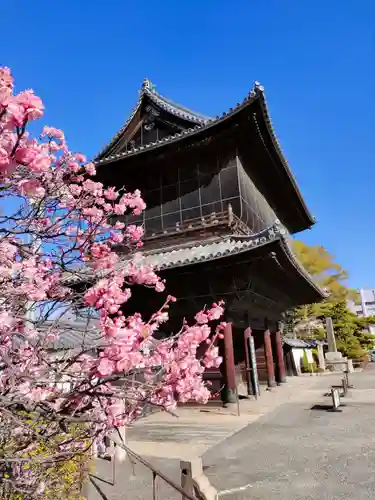 建中寺の山門