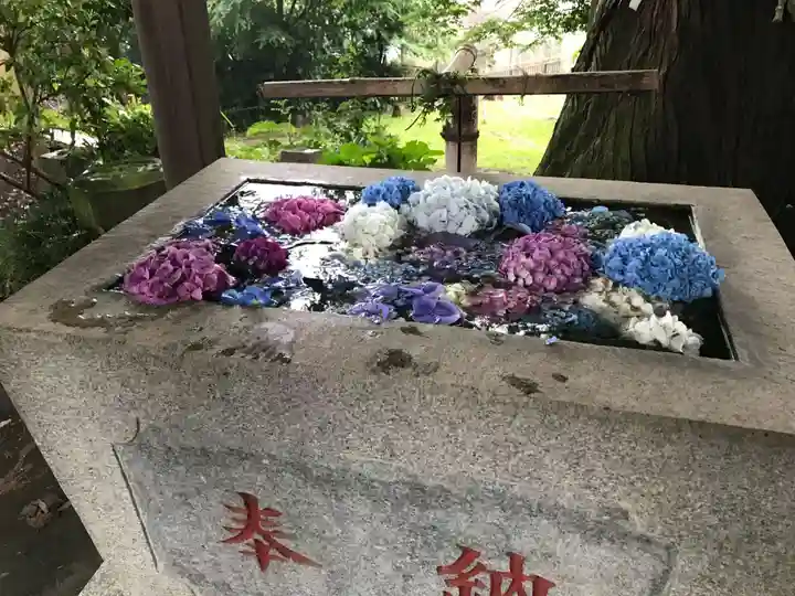 糀谷八幡宮(埼玉県)
