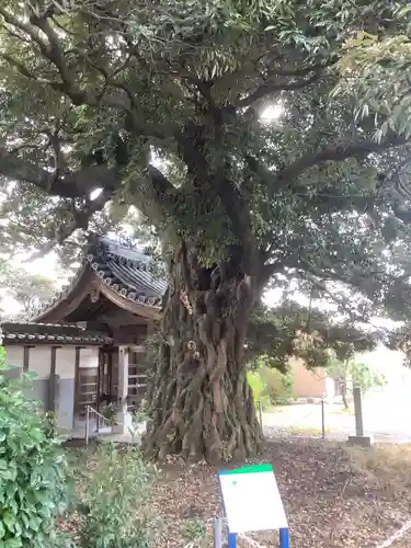 龍渕寺の庭園