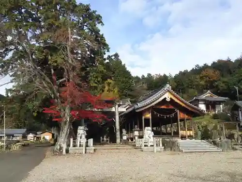 八幡神社（武芸八幡宮）の建物その他