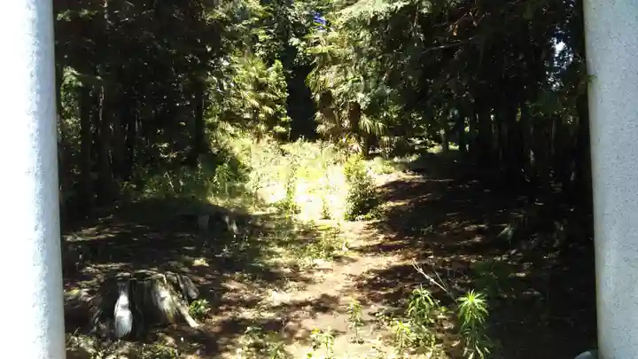 諏訪神社の周辺