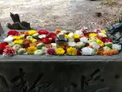 宇佐八幡神社の手水