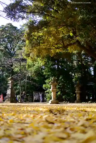 赤坂氷川神社の自然