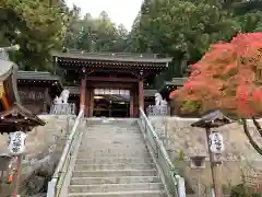 櫻山八幡宮(岐阜県)