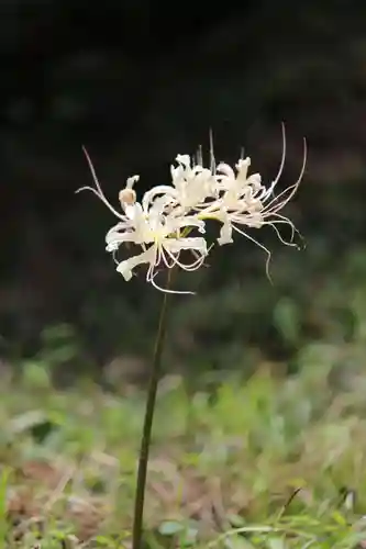 国宝 大法寺(長野県)