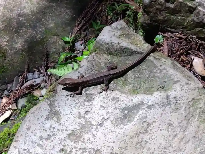 鳳来寺(愛知県)