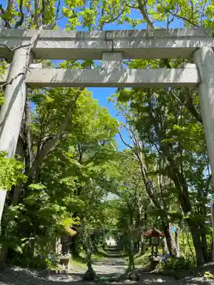釧路一之宮 厳島神社の鳥居