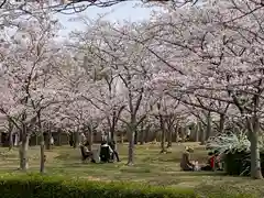 草谷天神社の自然