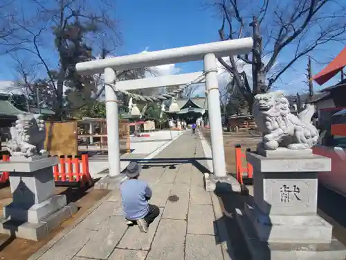 上野総社神社の鳥居