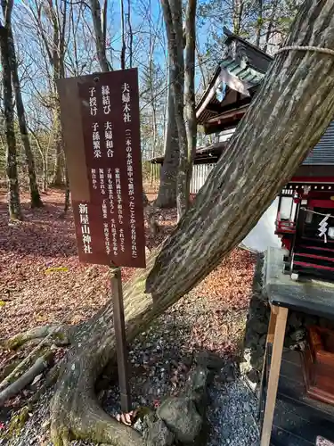 新屋山神社(山梨県)