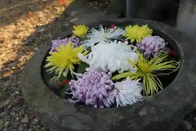離宮八幡宮(京都府)