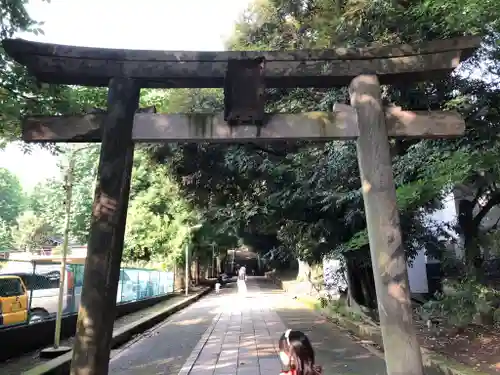 渋谷氷川神社の鳥居