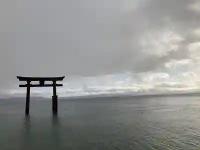 白鬚神社の鳥居