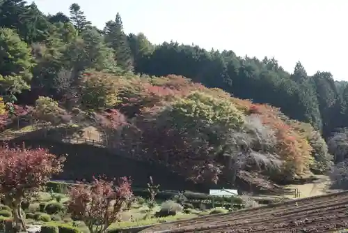 零羊崎神社の自然