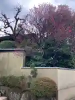 観音蜜寺(薬師院内)(神奈川県)