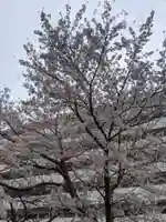 思金神社の自然