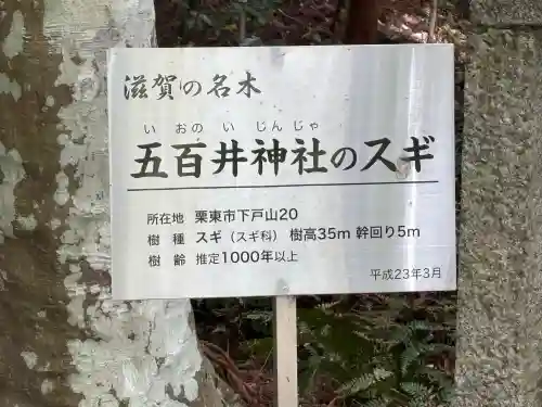 五百井神社の{uncategorized: "未分類", other: "その他", undefined: "問題あり", building: "その他建物", grave: "お墓", sacred_gate: "鳥居", guardian: "狛犬", statue: "像", buddha: "仏像", history: "歴史", nature: "自然", garden: "庭園", animal: "動物", pagoda: "塔", temizu: "手水舎", mountain_gate: "山門・神門", sanctuary: "本殿・本堂", subordinate: "末社・摂社", art: "芸術", scenery: "景色", jizo: "地蔵", ema: "絵馬", goshuin: "御朱印", omikuji: "おみくじ", items: "授与品その他", amulet: "お守り", goshuincho: "御朱印帳", eats: "食事", festival: "お祭り", votive_dance: "神楽", shichigosan: "七五三参", wedding: "結婚式", experience: "体験その他", initially: "初詣", around: "周辺", anti_infection: "感染症対策"}