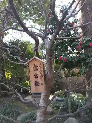 小野照崎神社(東京都)