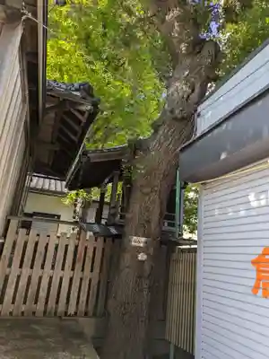 元宿神社(東京都)