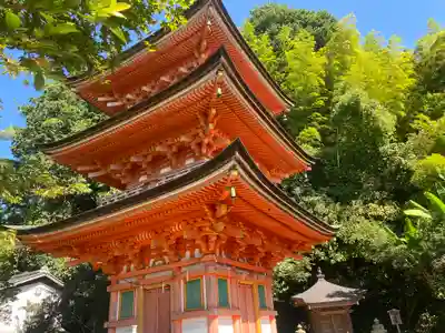 宝厳寺(滋賀県)