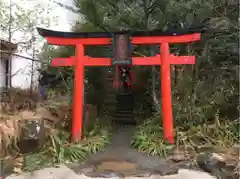 箱根神社の鳥居