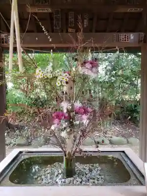 赤坂氷川神社(東京都)