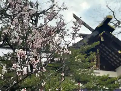 豊平神社の本殿・本堂