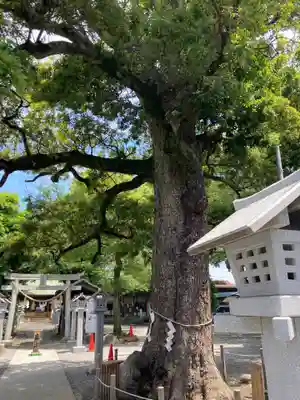 芳川神社(埼玉県)