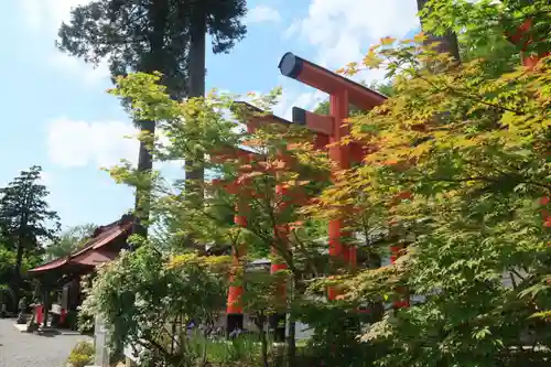 高屋敷稲荷神社の景色