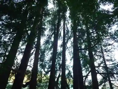 天岩戸神社(宮崎県)