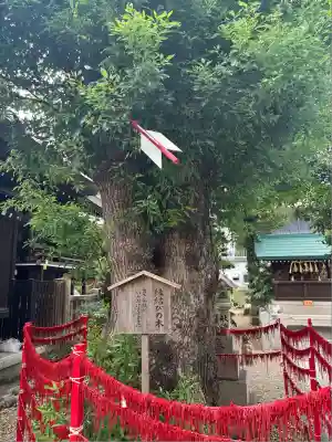 三輪神社(愛知県)