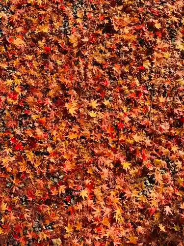 土津神社｜こどもと出世の神さまの自然