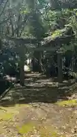 飯神社の{uncategorized: "未分類", other: "その他", undefined: "問題あり", building: "その他建物", grave: "お墓", sacred_gate: "鳥居", guardian: "狛犬", statue: "像", buddha: "仏像", history: "歴史", nature: "自然", garden: "庭園", animal: "動物", pagoda: "塔", temizu: "手水舎", mountain_gate: "山門・神門", sanctuary: "本殿・本堂", subordinate: "末社・摂社", art: "芸術", scenery: "景色", jizo: "地蔵", ema: "絵馬", goshuin: "御朱印", omikuji: "おみくじ", items: "授与品その他", amulet: "お守り", goshuincho: "御朱印帳", eats: "食事", festival: "お祭り", votive_dance: "神楽", shichigosan: "七五三参", wedding: "結婚式", experience: "体験その他", initially: "初詣", around: "周辺", anti_infection: "感染症対策"}
